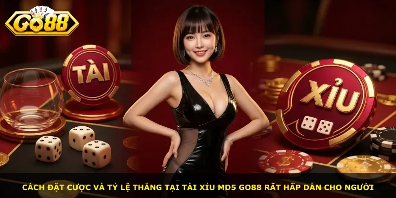 Cách đặt cược và tỷ lệ thắng tại Tài xỉu MD5 Go88 rất hấp dẫn cho người
