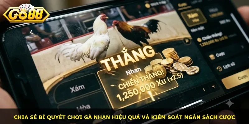 Chia sẻ bí quyết chơi gà nhạn hiệu quả và kiểm soát ngân sách cược