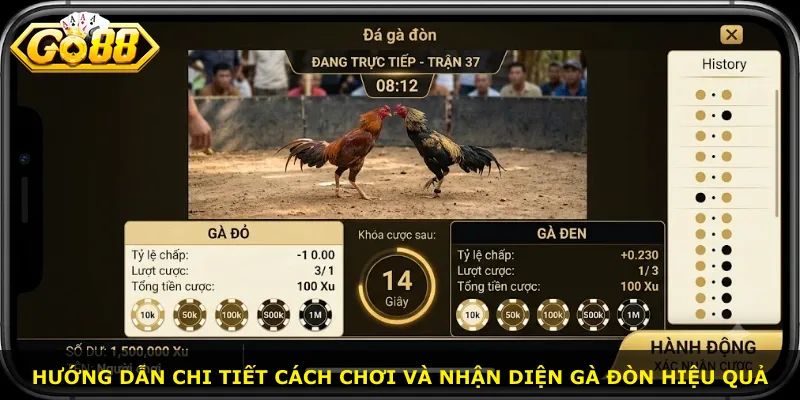 Hướng dẫn chi tiết cách chơi và nhận diện gà đòn hiệu quả