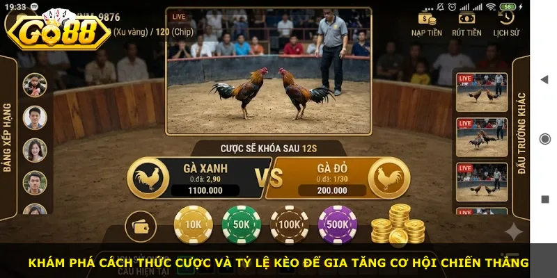 Khám phá cách thức cược và tỷ lệ kèo để gia tăng cơ hội chiến thắng