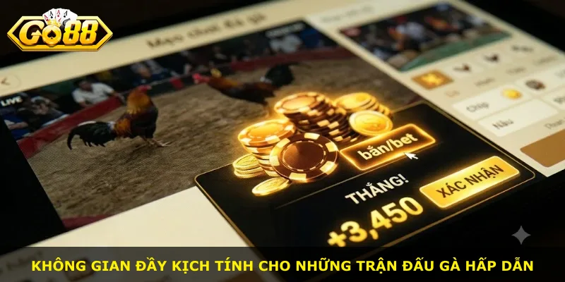 Không gian đầy kịch tính cho những trận đấu gà hấp dẫn