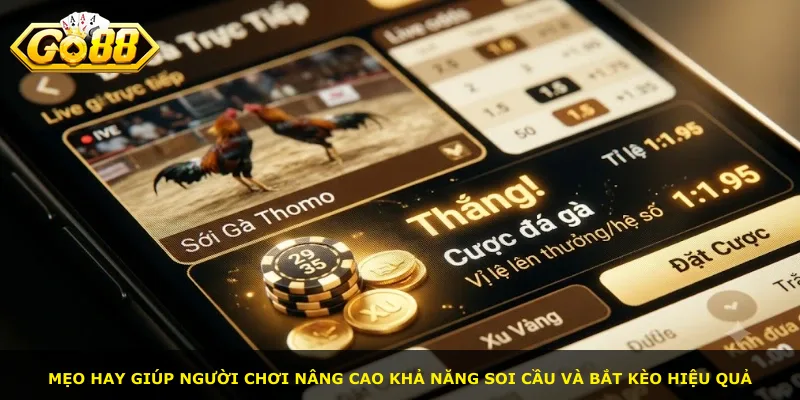 Mẹo hay giúp người chơi nâng cao khả năng soi cầu và bắt kèo hiệu quả