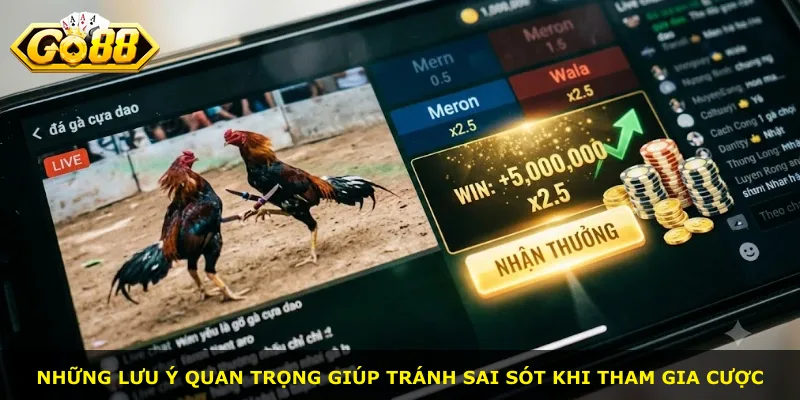 Những lưu ý quan trọng giúp tránh sai sót khi tham gia cược