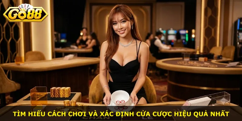 Tìm hiểu cách chơi và xác định cửa cược hiệu quả nhất