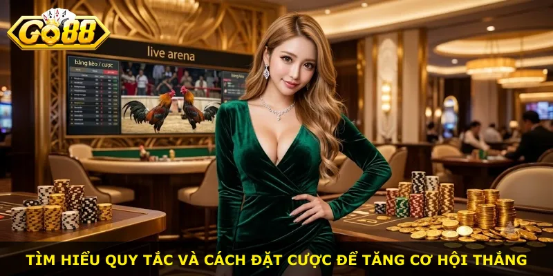 Tìm hiểu quy tắc và cách đặt cược để tăng cơ hội thắng